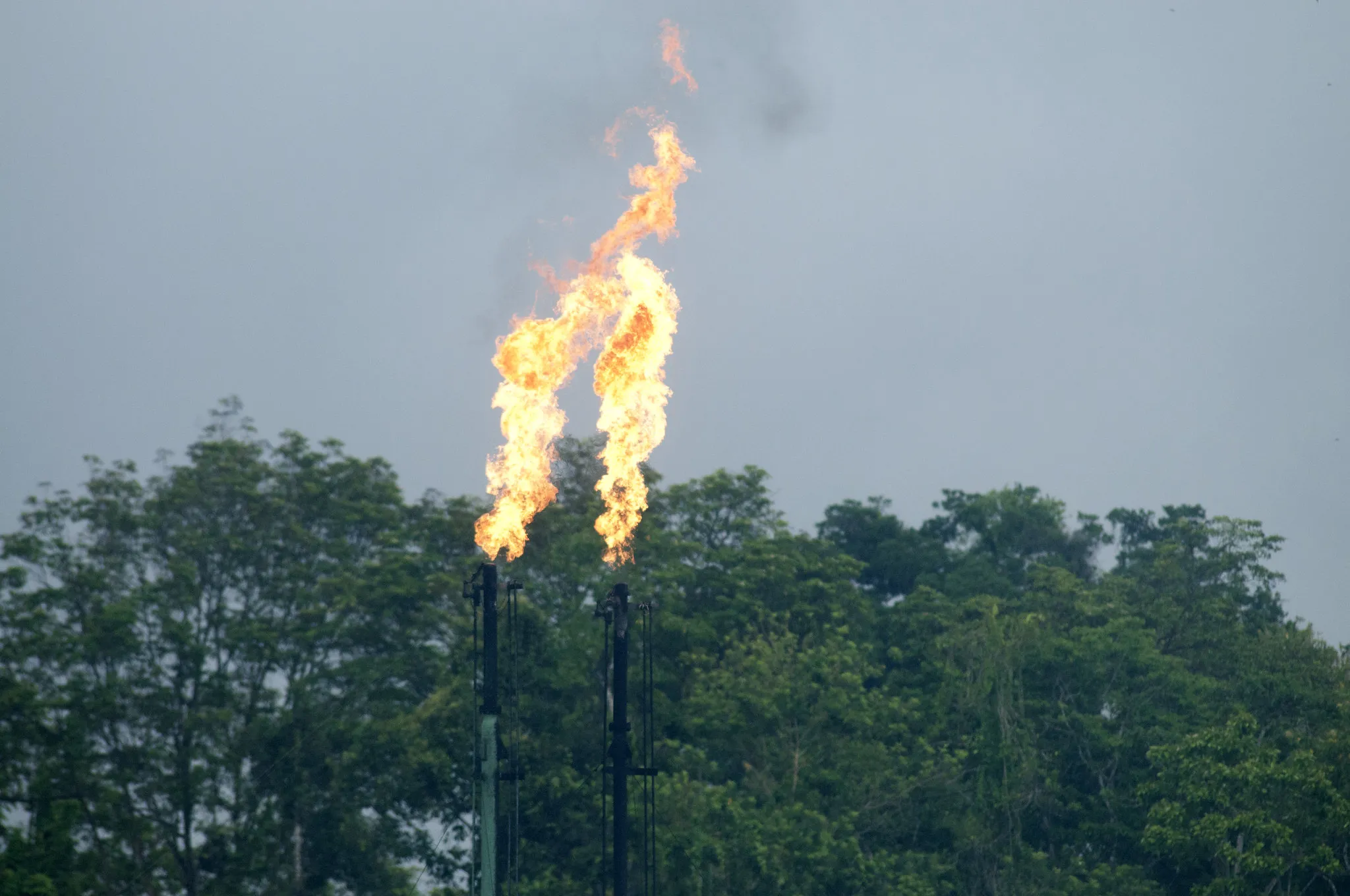 Report: German taxpayers quietly backed new Amazon gas drilling while promising to stop funding fossil fuels abroad