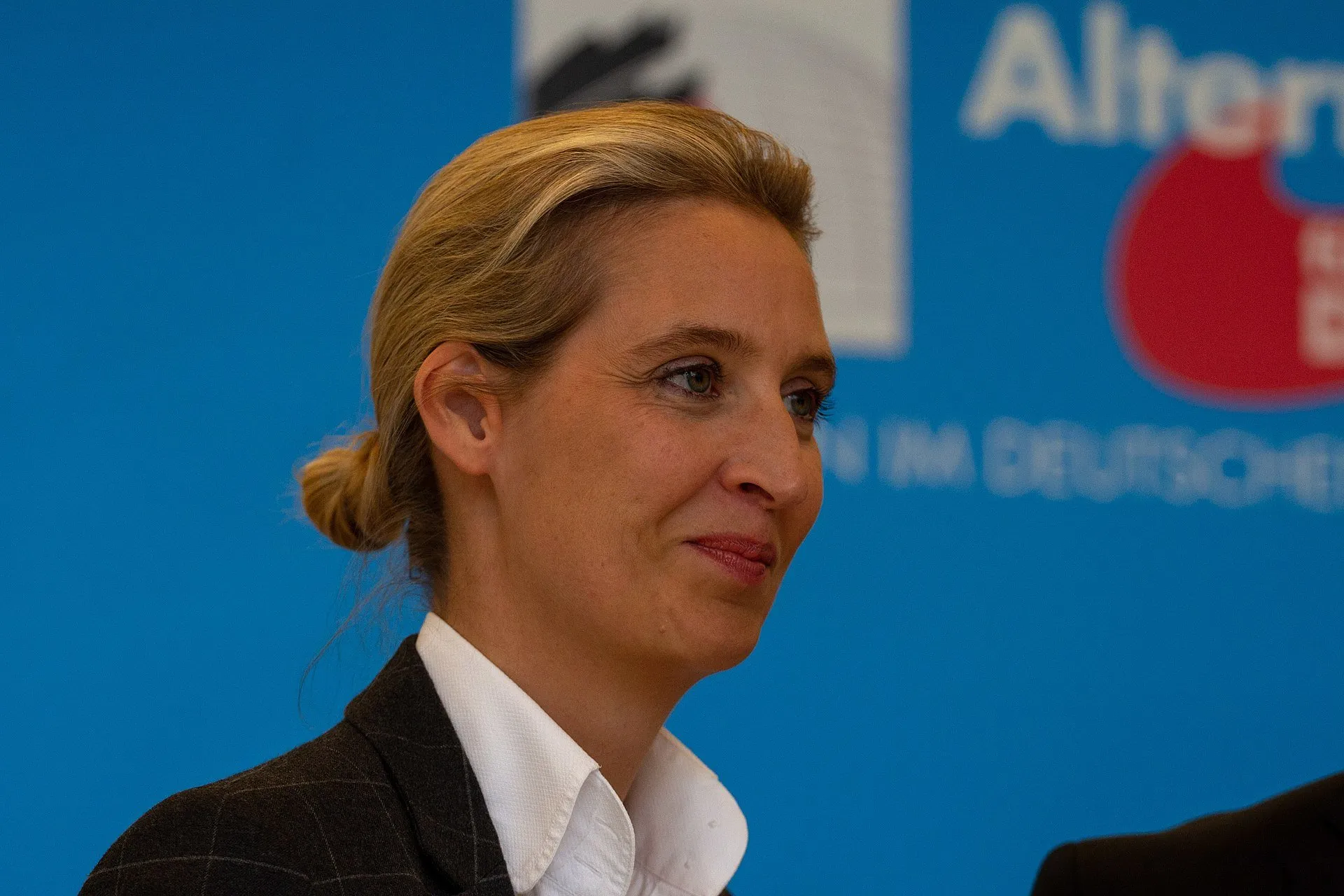 Stop letting the ‘liberals vs populists’ story make the far-right the only visible alternative
