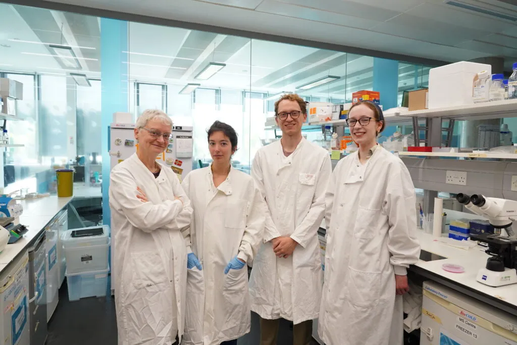 Tiny fish could unlock new MS drugs — but Brexit is blocking progress