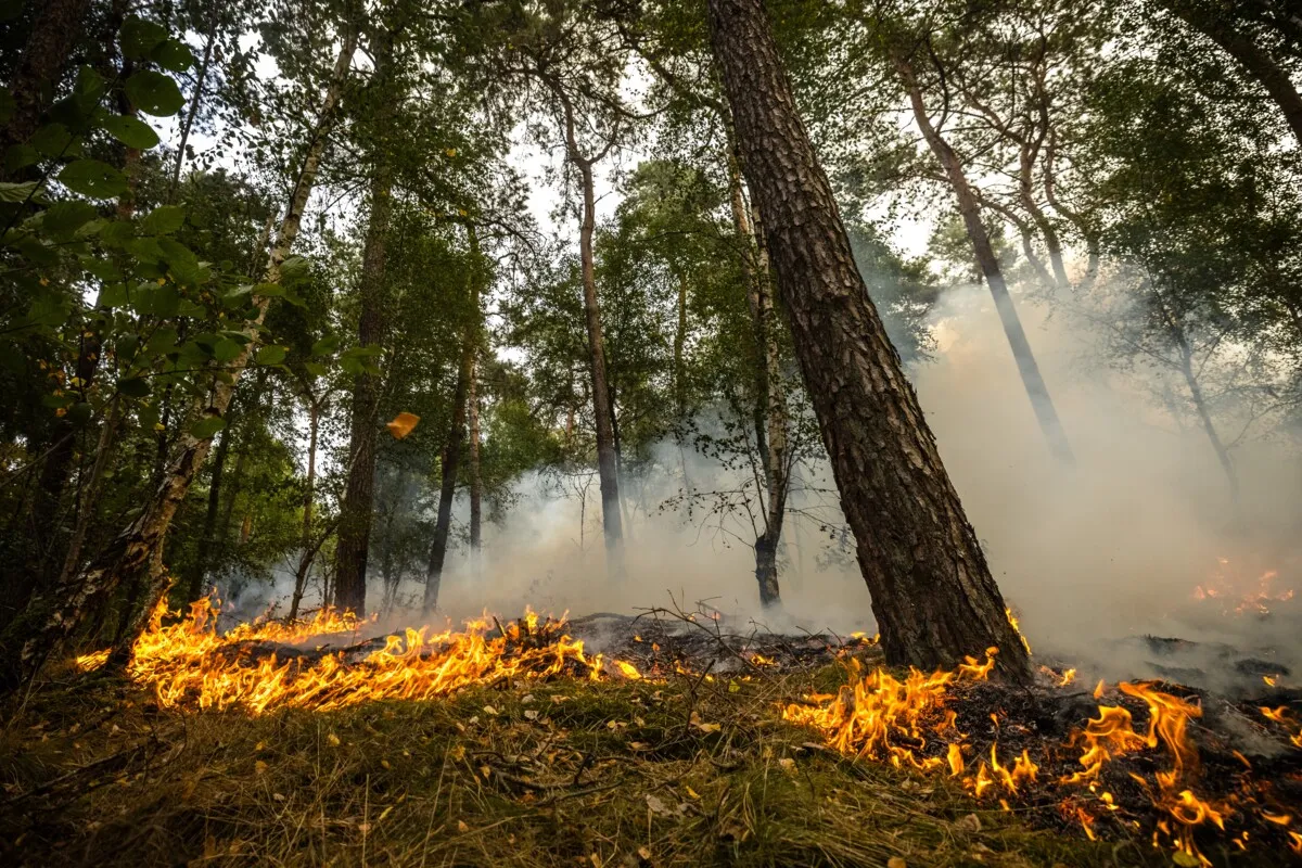Poorly prepared? On the contrary — the Netherlands is actually making good progress on wildfire control
