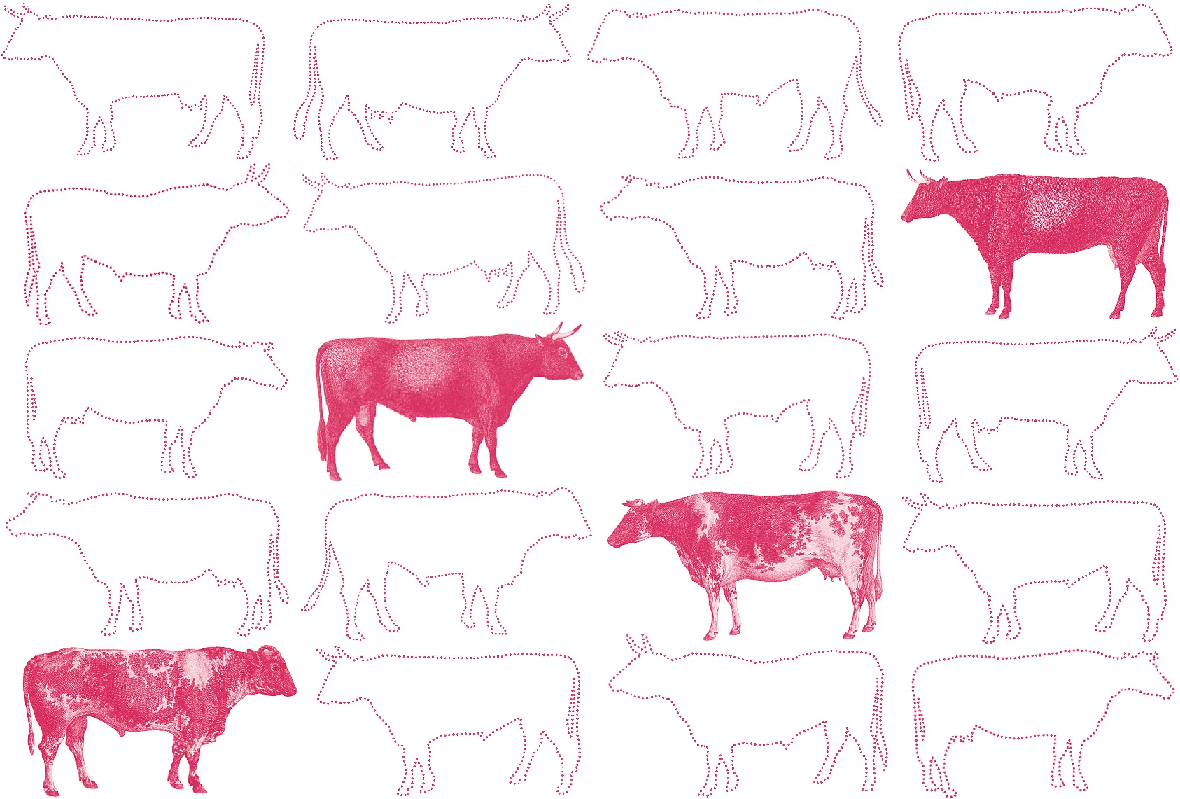 Illustration by Arnau Busquets Guàrdia