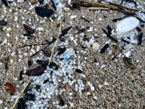 Children at play — concerns about microplastics in young bodies