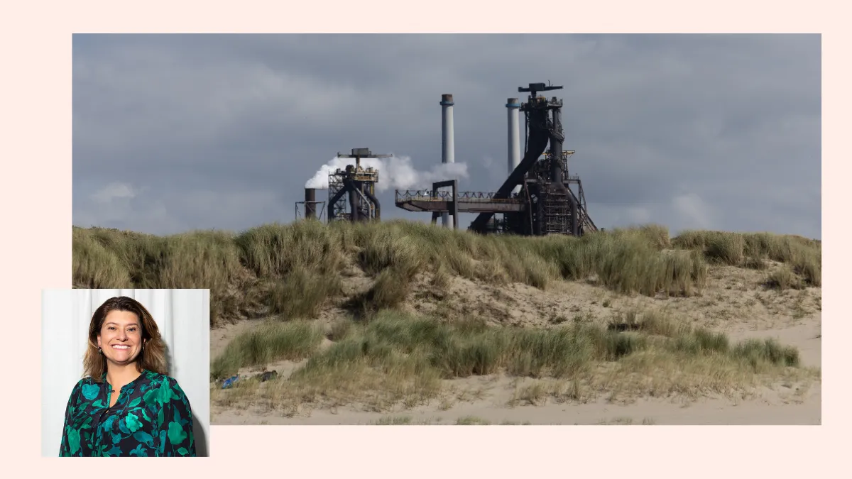 Should the government take over Tata Steel to protect our industry?