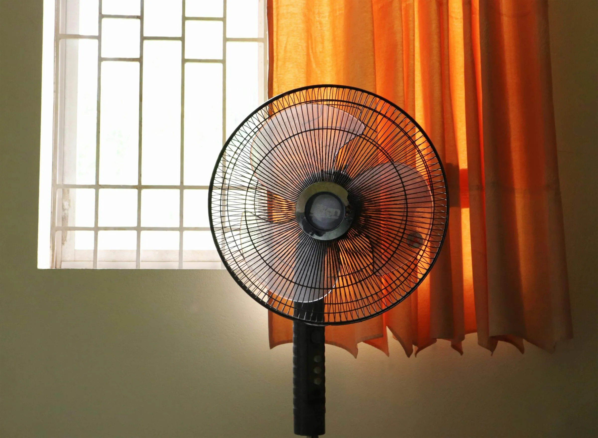 Europe’s deadly heatwaves are the result of political neglect — not fate