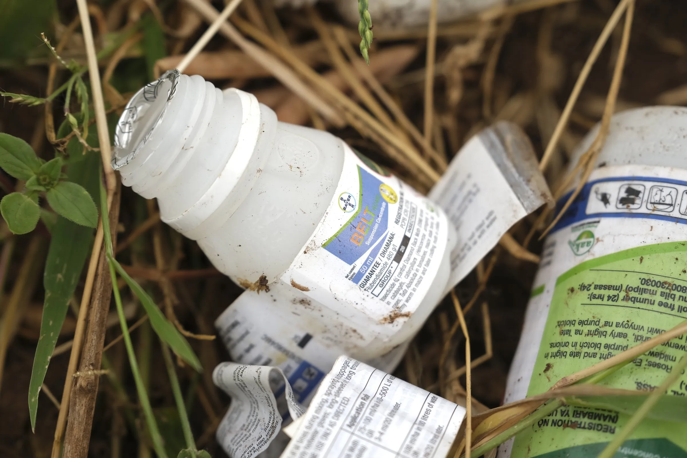 MEPs delay vote on EU pesticides overhaul as scientists and UN experts push back against Big Pharma