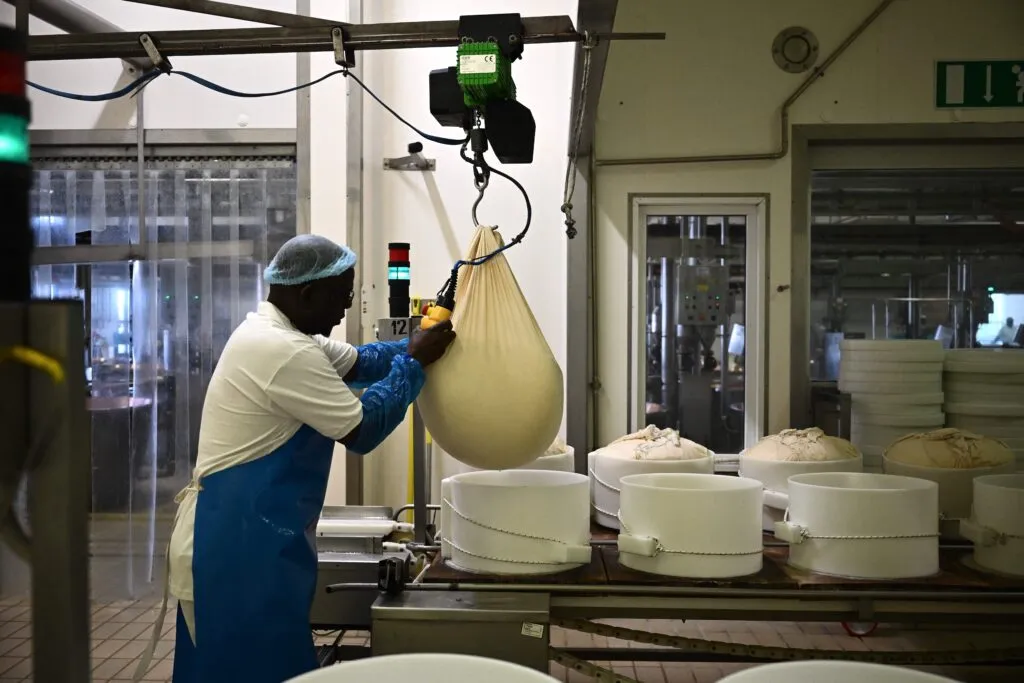 Italy’s blistering summer pushes Parmigiano makers to their limits