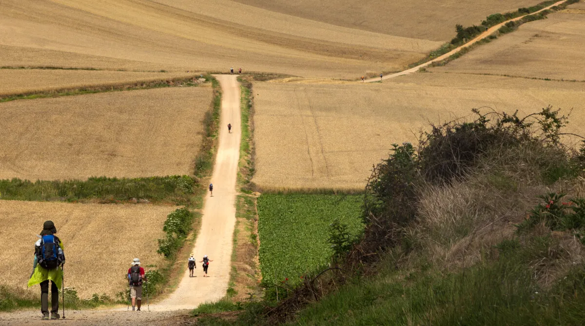 The Camino Still Captivates the Imagination — An Exhibition Reminds Europe of Shared Traditions