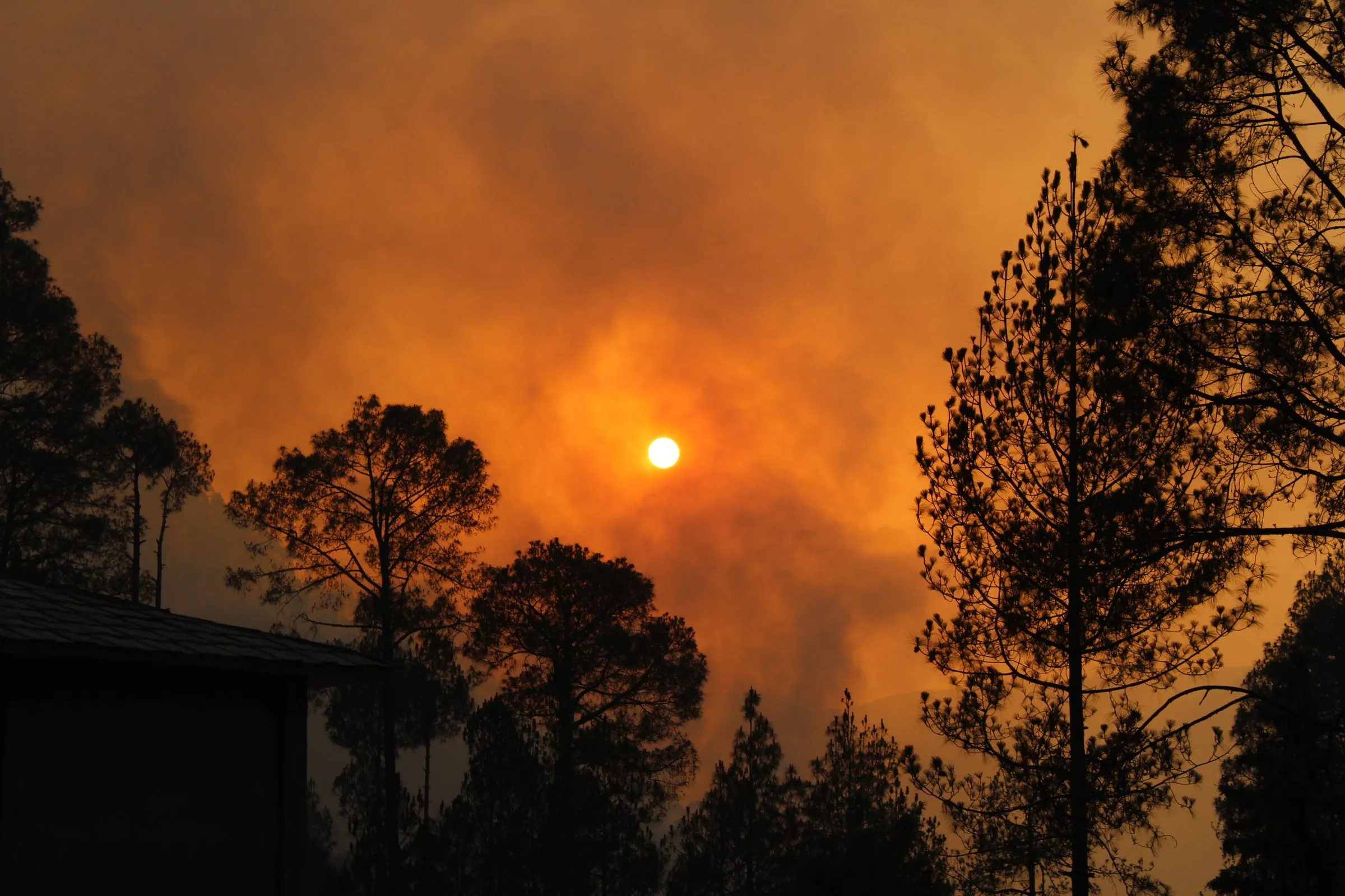 Europe’s 2026 wildfires expose the cost of ignoring prevention — time to stop politicking and work with reliable partners