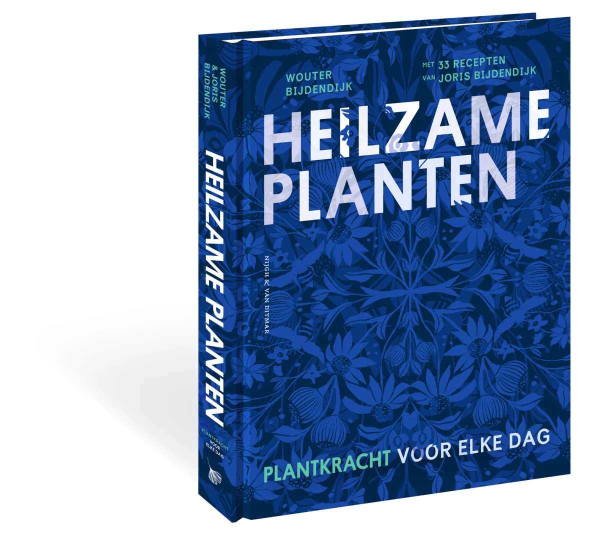 Brothers Bijdendijk uncover the medicinal power and flavours of our plants