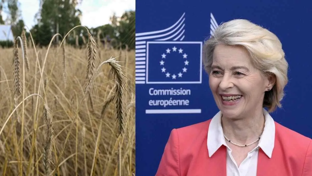 Polish countryside fed up with Brussels — wants partners, not puppets