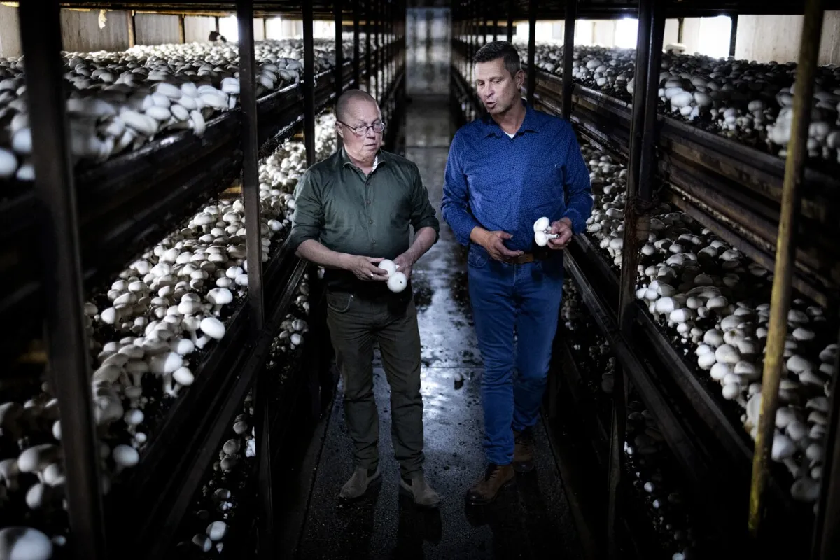 Nitrogen: Ger Koopmans steers carefully between angry farmers and the cabinet to unlock the crisis