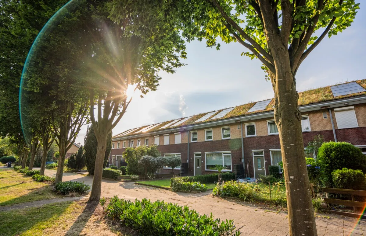 From Postwar Terrace to Heat-Resilient Home