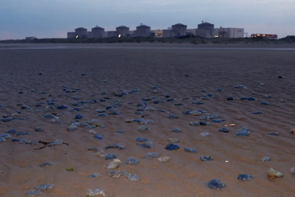 How warming Europe is exposing the limits of the continent’s nuclear revival