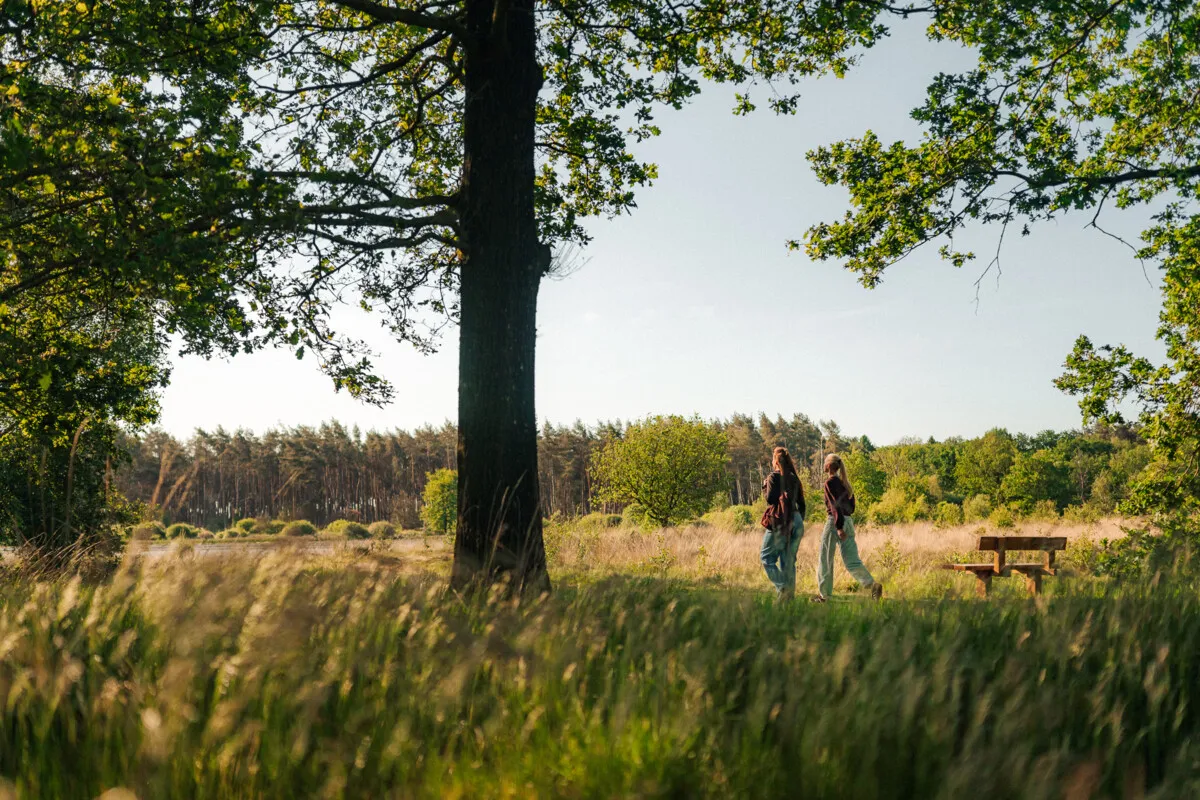 Forget walking dates and step counters: how to really reconnect with nature